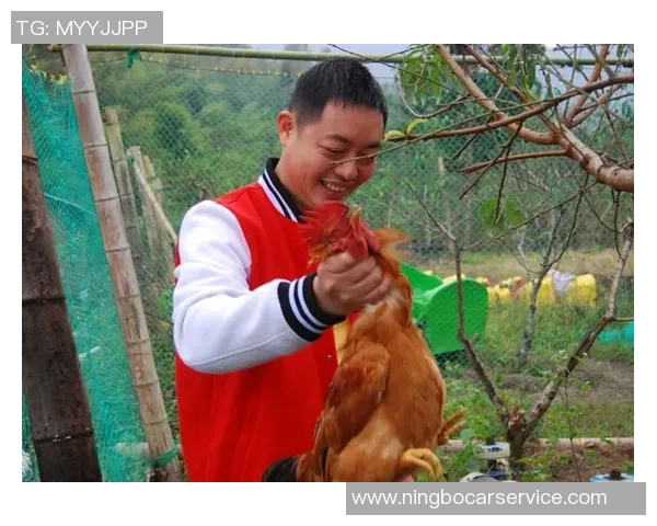 足球明星放羊高清图片展现运动员别样生活风貌与自然之美