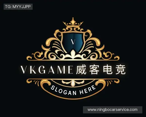 认识VKGAME威客电竞